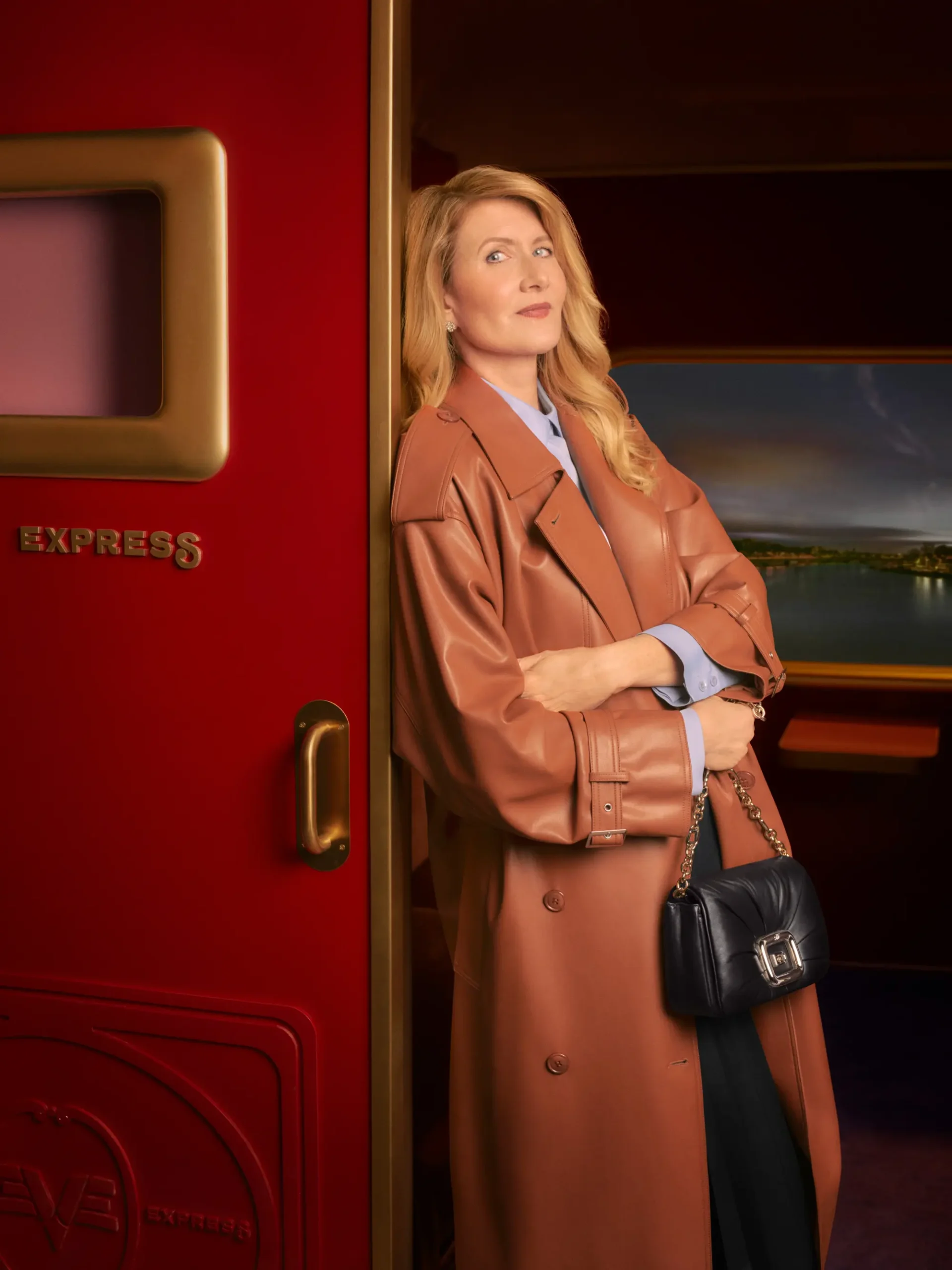 ROGER-VIVIER_VIVIER-EXPRESS_Laura-Dern